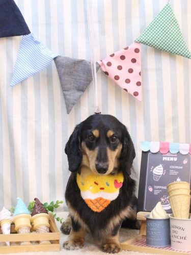 20250523おうたくん